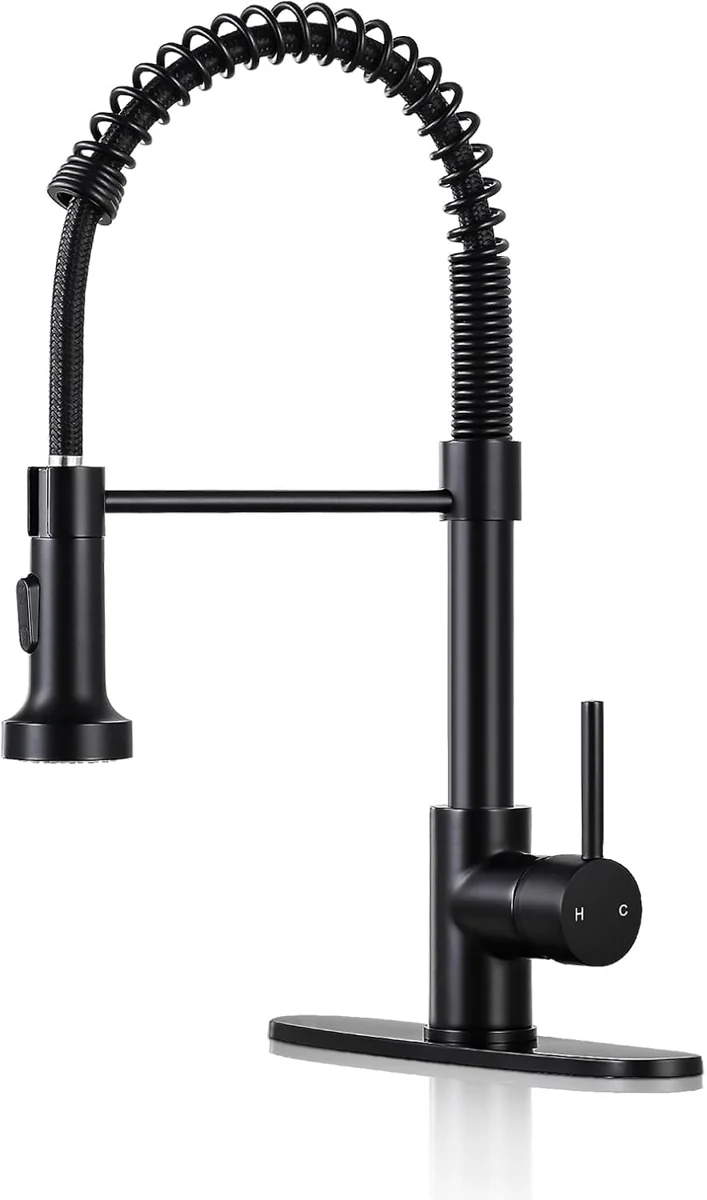 DJS Pull-Down Kitchen Faucet