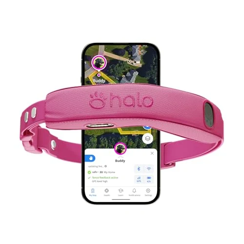 Halo Collar 5 Orchid GPS Dog Fence