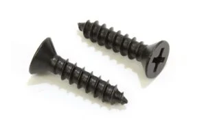 Black-Oxide Phillips Wood Screws